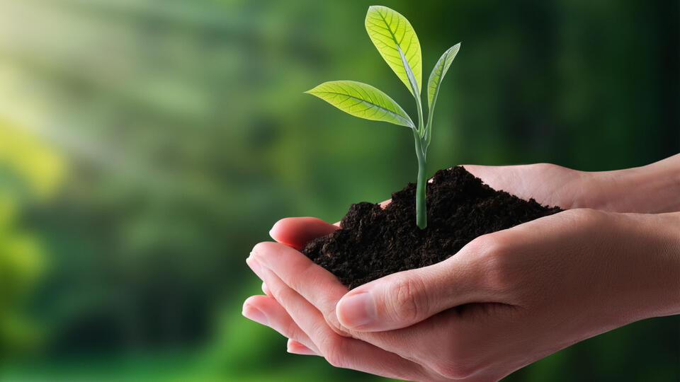 Création de site internet pas cher